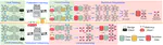Malicious Forgetting: Backdoor Injection in Active Federated Unlearning and Countermeasure Design